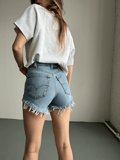 Levis 550 Cutoff Shorts – W: 24"
